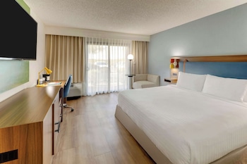 Room, 1 King Bed, Accessible (Mobility/Hearing Roll in Shower)