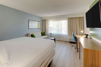 Premier Room, 1 King Bed (No Balcony)