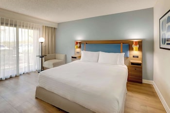 Room, 1 King Bed, Accessible (Mobility/Hearing Roll in Shower)