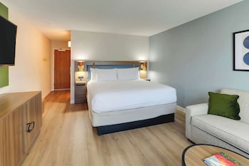 Premier Room, 1 King Bed (No Balcony)