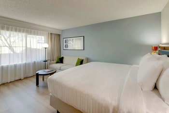 Deluxe Room, 1 King Bed with Sofa bed