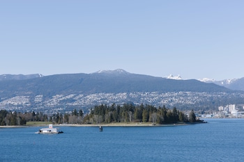 Suite, 1 King Bed, Harbor View