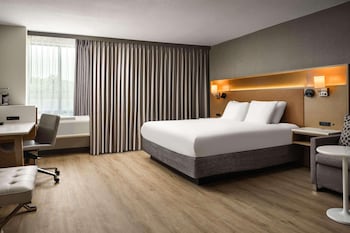 Room, 1 King Bed with Sofa bed, Non Smoking (Roll-in Shower)