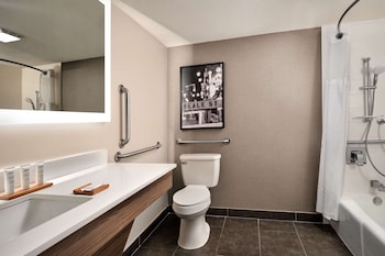 Room, 1 King Bed with Sofa bed, Non Smoking (Roll-in Shower)