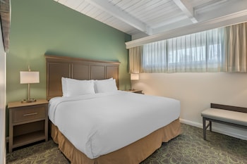 Suite, 1 King Bed, Kitchen, Poolside (Living Room, Full Kitchen)