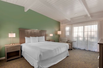 Standard Room, 1 Queen Bed, Accessible, Refrigerator & Microwave