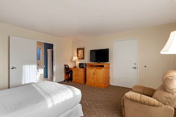Standard Room, 1 Queen Bed, Accessible, Refrigerator & Microwave