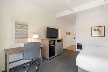 Standard Room, 1 King Bed, Non Smoking, Refrigerator & Microwave (Larger Room;with Sofabed)