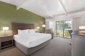 Standard Room, 1 King Bed, Non Smoking, Refrigerator & Microwave (Larger Room;with Sofabed)