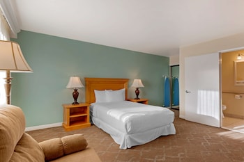 Standard Room, 1 Queen Bed, Accessible, Refrigerator & Microwave