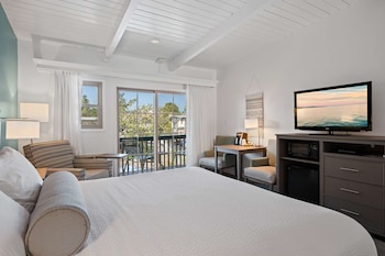 Standard Room, 1 King Bed, Non Smoking, Refrigerator & Microwave (Larger Room;with Sofabed)
