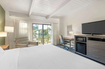 Standard Room, 1 King Bed, Non Smoking, Refrigerator & Microwave (Larger Room;with Sofabed)