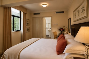Deluxe Room, 1 Double Bed (Super Deluxe Double)