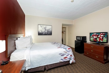 Superior Room, 1 King Bed, Smoking