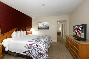 Suite, 1 King Bed with Sofa bed, Non Smoking
