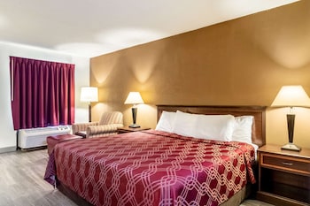 Standard Room, 1 King Bed, Non Smoking