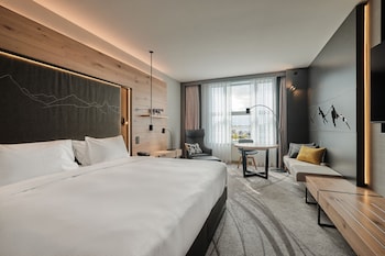Room, 1 King Bed
