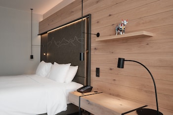 Room, 1 King Bed