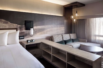 Studio, 1 King Bed with Sofa bed