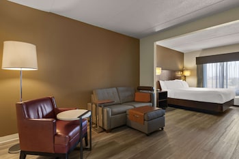 Studio Suite, 1 King Bed, Non Smoking