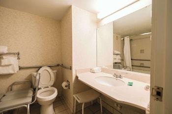 Room, 1 King Bed, Roll-in Shower (Accessible)