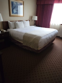 Room, 1 King Bed, Roll-in Shower (Accessible)