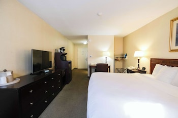 Room, 1 King Bed, Roll-in Shower (Accessible)