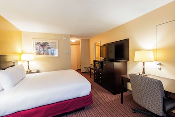 Standard Room, 1 King Bed