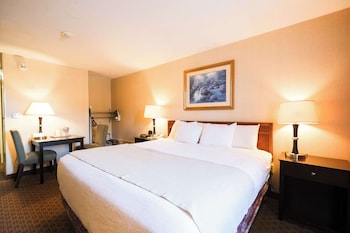 Room, 1 King Bed (Accessible)