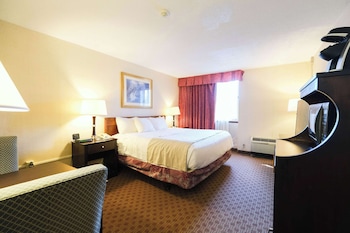 Room, 1 King Bed (Accessible)