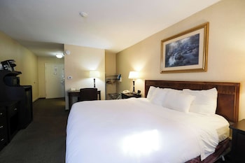 Room, 1 King Bed, Roll-in Shower (Accessible)