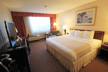 Room, 1 King Bed, Courtyard View