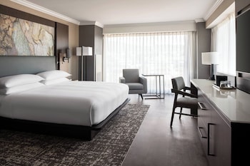 Room, 1 King Bed, City View (Hearing Accessible)