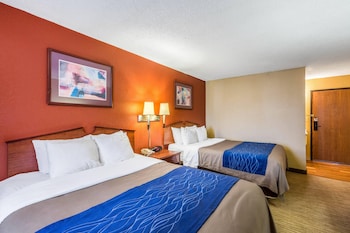 Standard Room, 2 Queen Beds