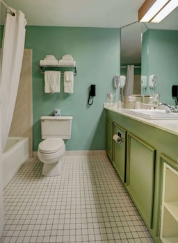 Presidential Room with 1 King Bed Pet-Friendly