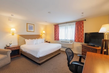 Economy 1 king bed
