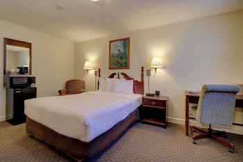 Economy 1 queen bed updated bathroom