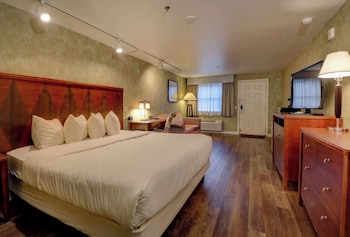 Presidential Room with 1 King Bed Pet-Friendly