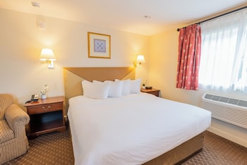 Economy 1 king bed