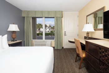 Room, 1 Queen Bed (Standard View)