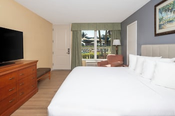 Room, 1 King Bed, Mobility Accessible, Pool View (King with Roll-in Shower)