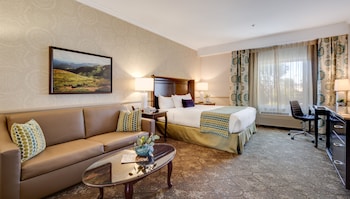 King Studio Suite
