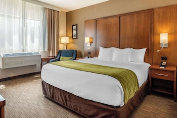 Room, 1 King Bed, Non Smoking