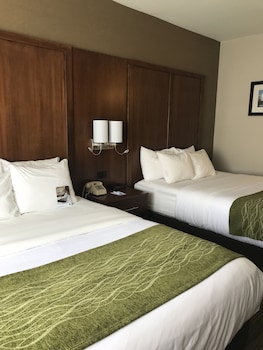 Standard Room, 1 King Bed, Accessible, Non Smoking
