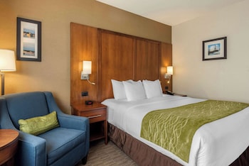 Standard Room, 1 King Bed, Accessible, Non Smoking