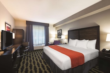 Room, 1 King Bed, Accessible, Non Smoking (Mobility Accessible)