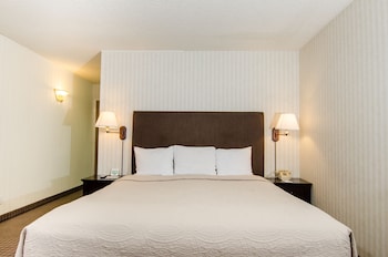 Standard Room, 1 King Bed, Garden View