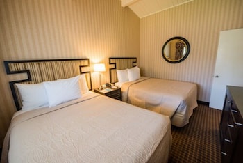 Suite, Multiple Beds