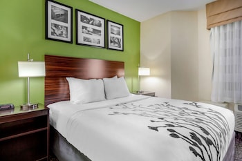 Standard Room, 1 Queen Bed, Non Smoking