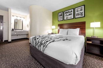 Standard Room, 1 Queen Bed, Non Smoking